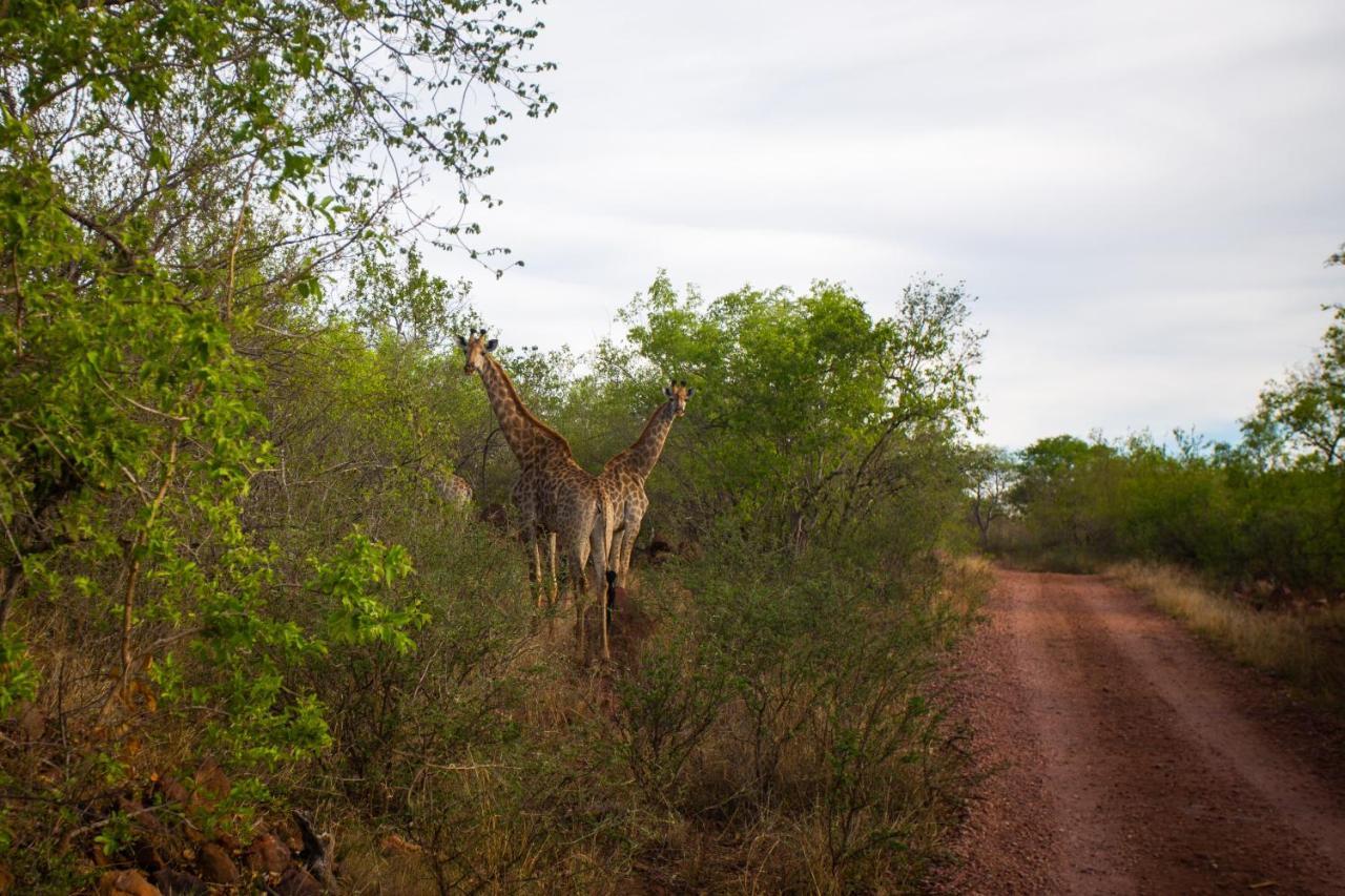 Nungu Game Lodge Lephalale Bagian luar foto